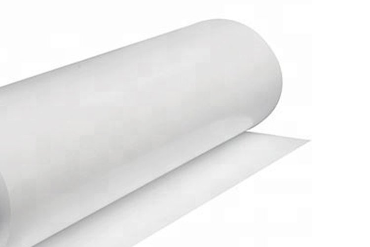 Transparent CPP Film - Unrolled