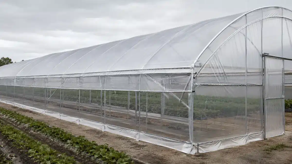 Concept illustration of clear agricultural film covering a commercial greenhouse